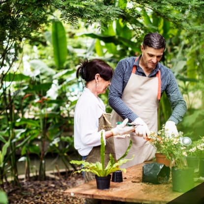 Permaculture Design Principles: Connect With the World Around You