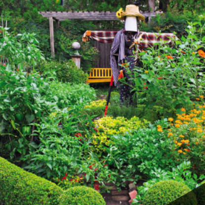 permaculture principles