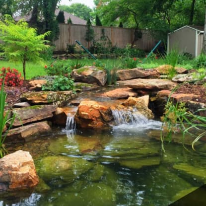 backyard ponds