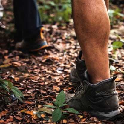 reduce ecological footprint