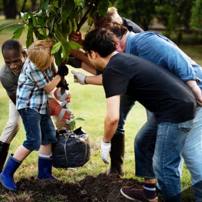 Shared Yard: What Are The Benefits?