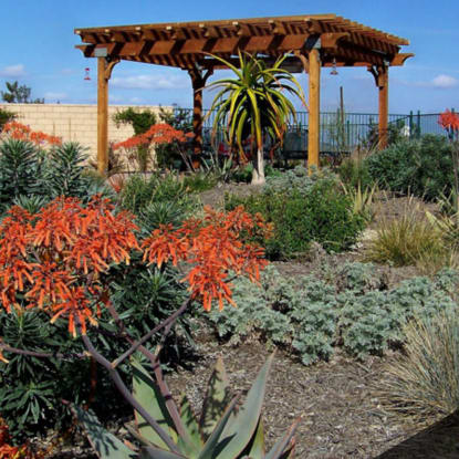 The Benefits of Xeriscaping