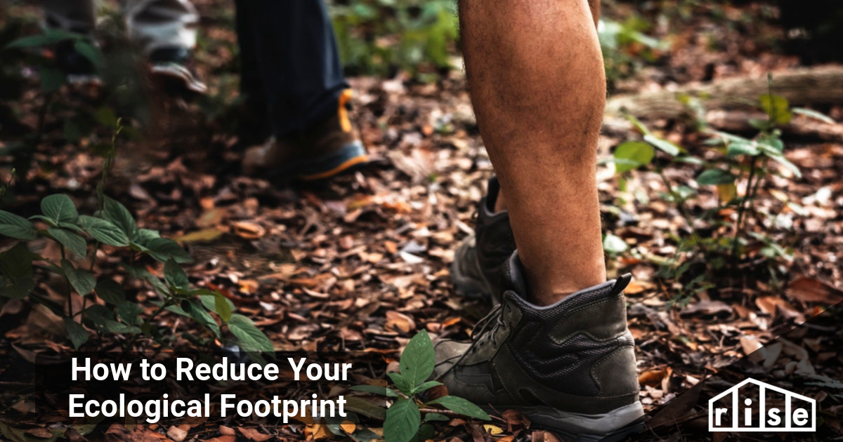 How to Reduce Your Ecological Footprint