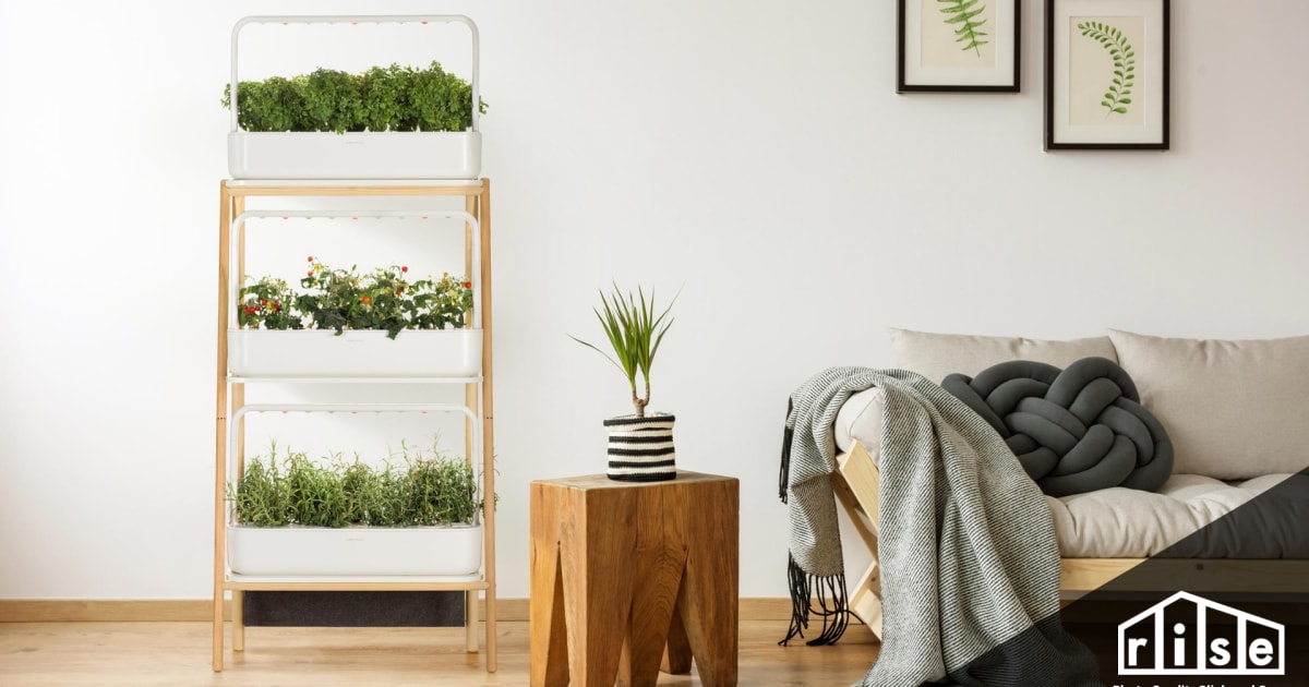 2021's Best Indoor Gardening Systems
