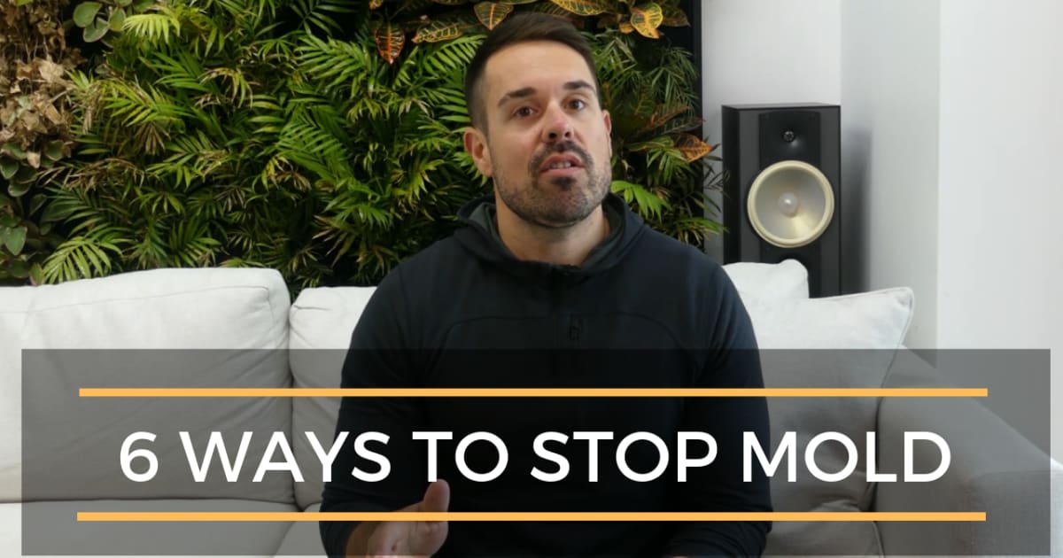 6 Ways to Stop Mold From Growing In Your Home