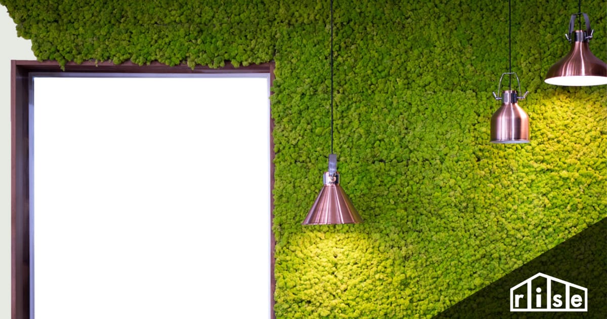 Moss Walls The Ultimate Guide