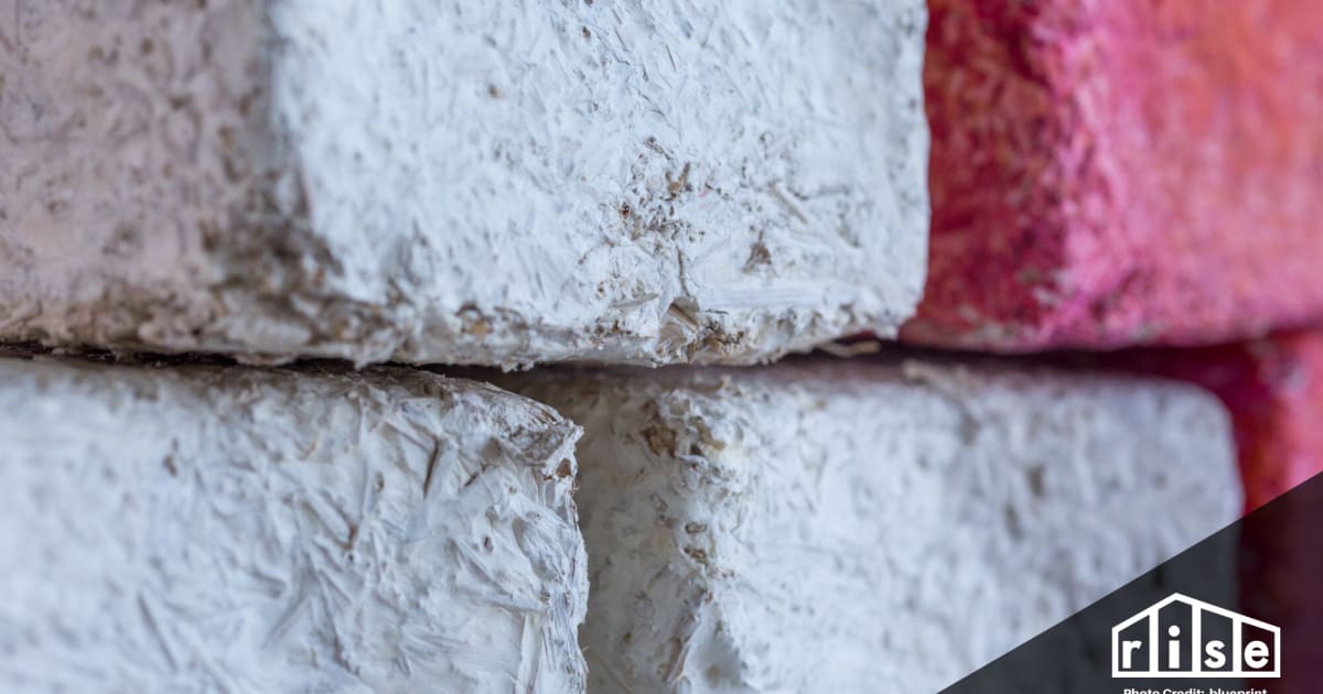 Mycelium Fungi as a Building Material