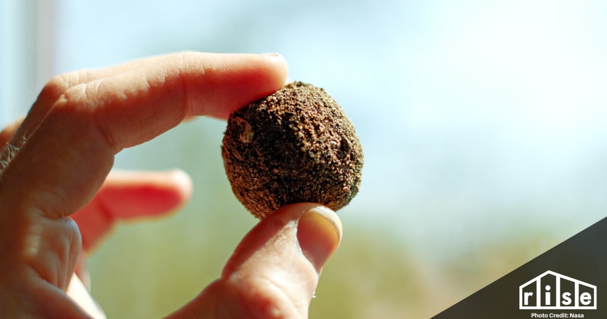 Seed Balls A DIY Guide