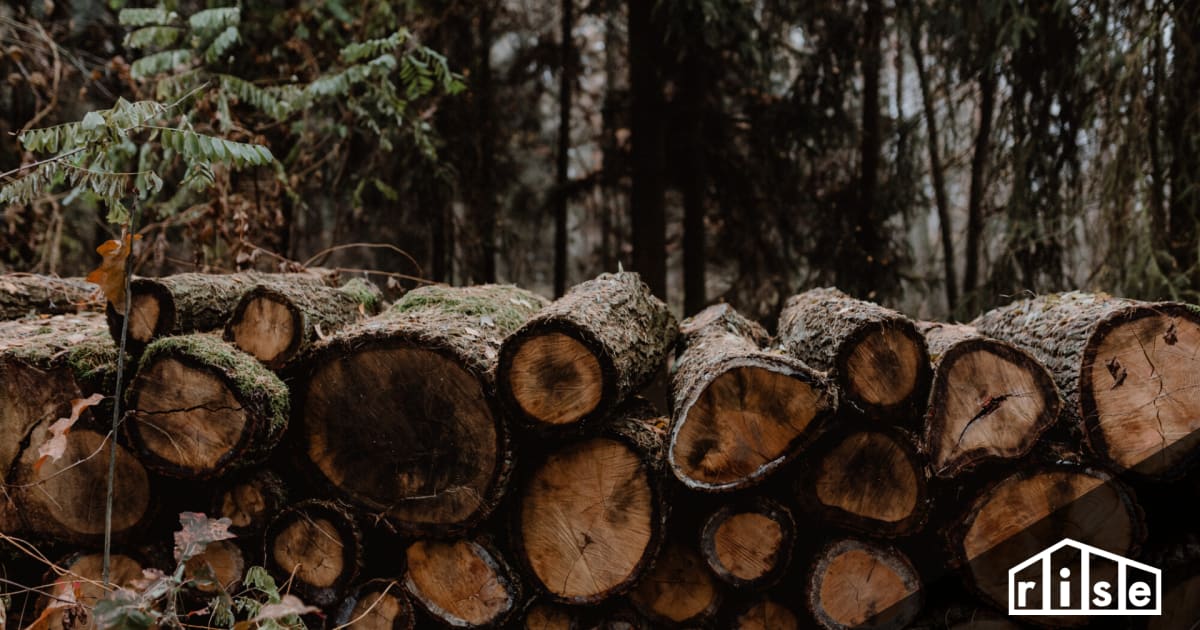 Wood Certification Programs and Sustainable Forestry