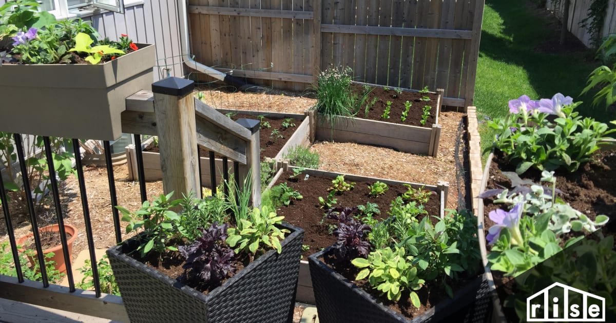 Tiny Gardens A Comprehensive Guide