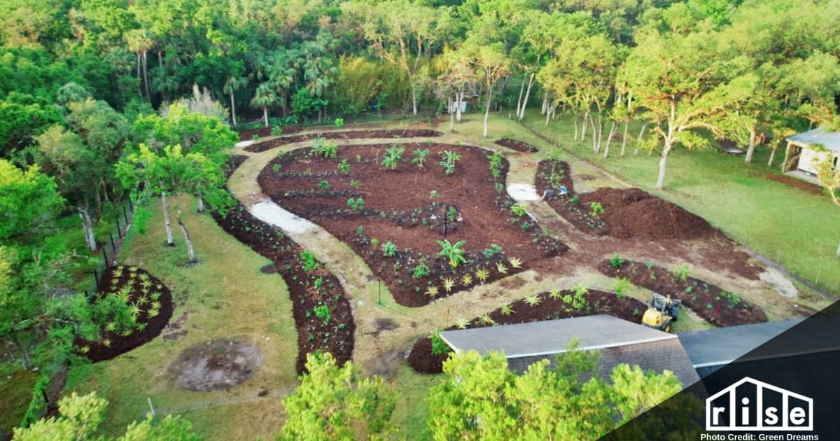 Turning Your Backyard Into a Food Forest - FooD Forest Prntph
