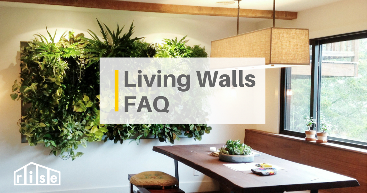 Living Walls at Home The Complete Guide