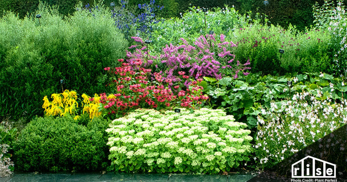 The Benefits of Native Plants