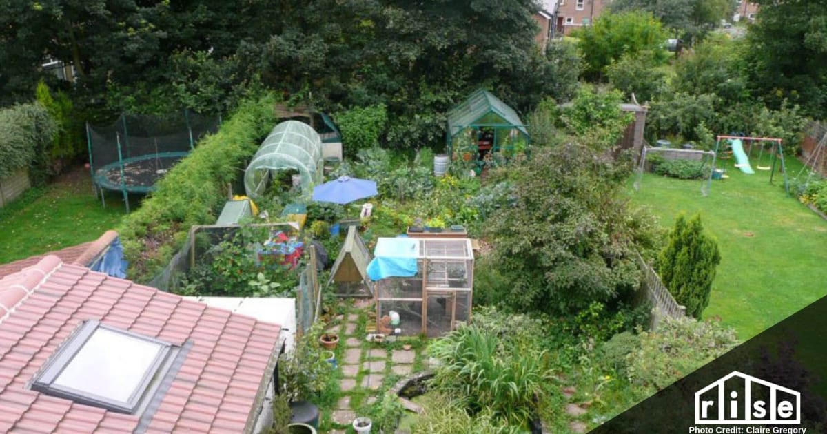 Rethinking Your Lawn With Permaculture Zones