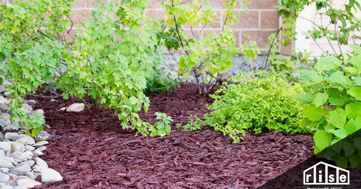 Recycled Rubber Mulch Vs Wood Mulch Pros And Cons