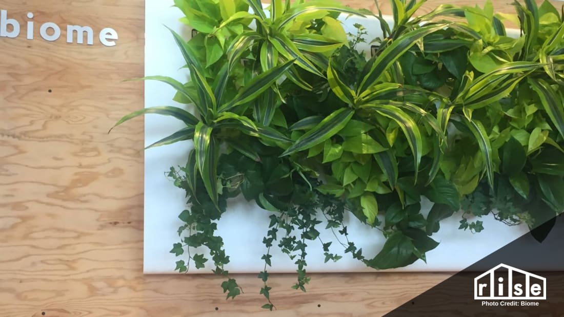 biome air purification