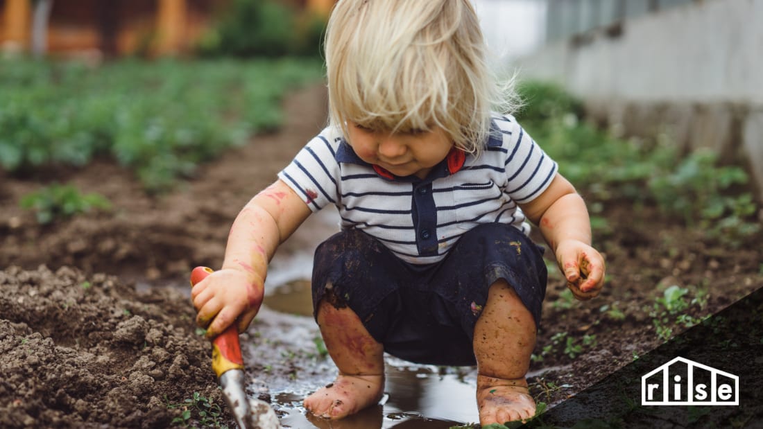 Healthy Garden