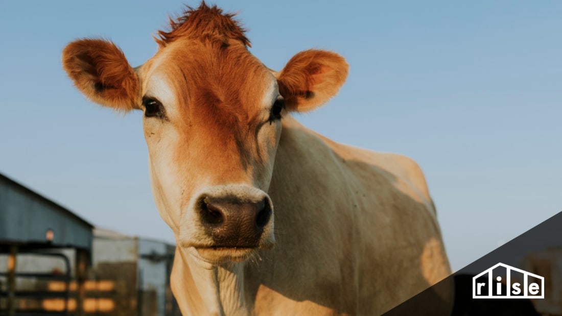 Methane and Your Home