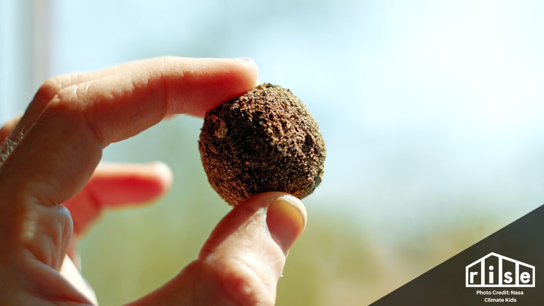 Seed Ball Header