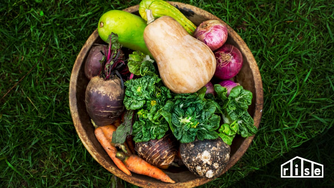 Spring Veggie Garden Header