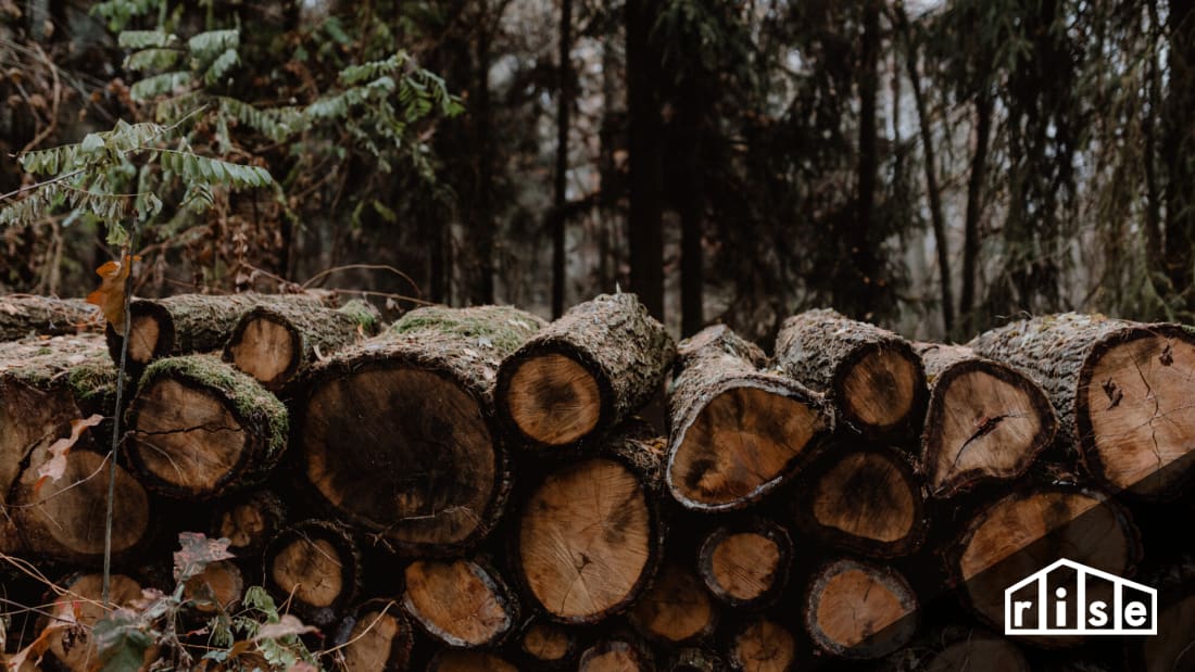 Wood Certification Programs