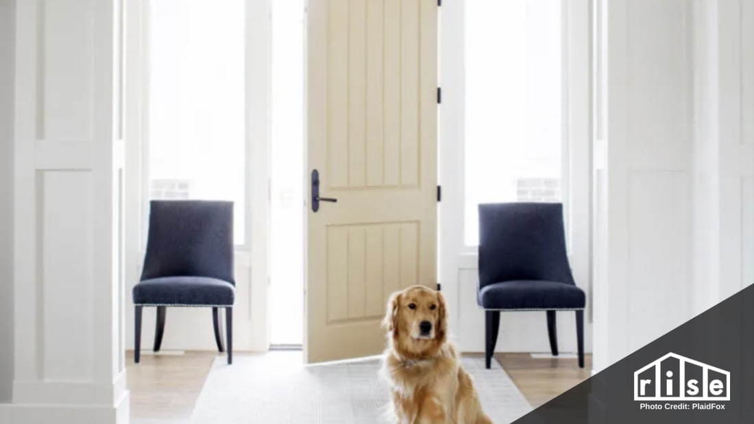 best exterior doors