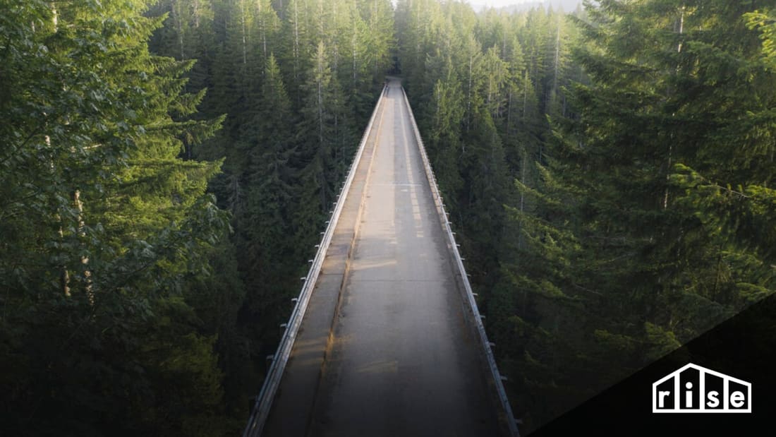 carbon offset