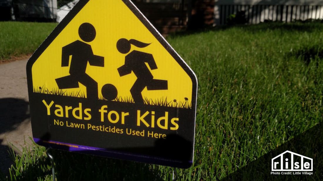 chemical free lawn