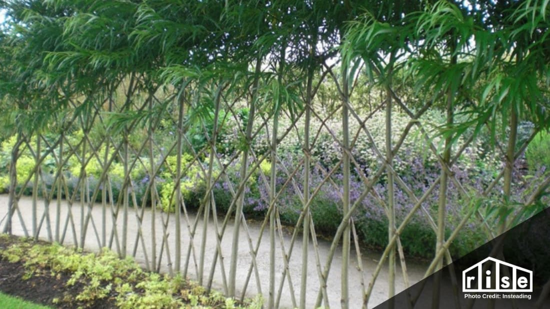 creative permaculture