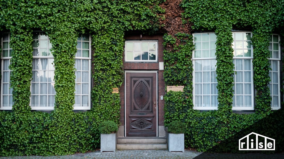 green facade