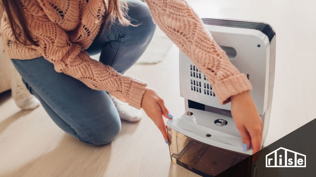 dehumidifiers