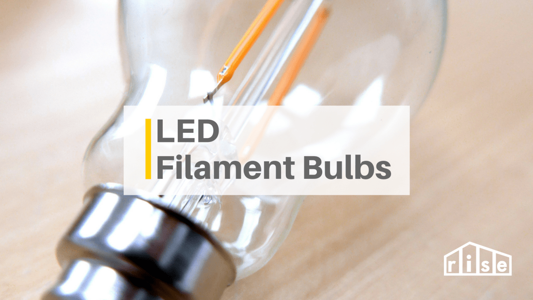 led filament bulbs
