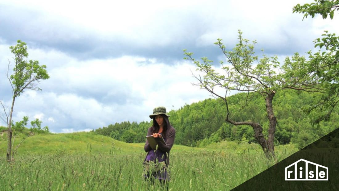 permaculture designer