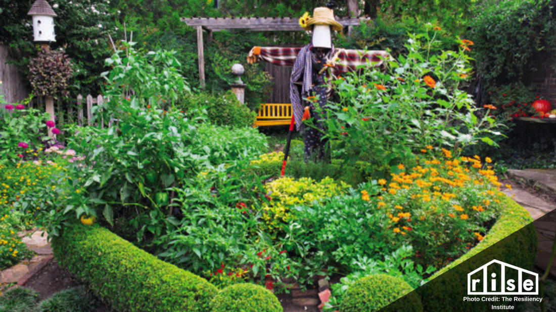 permaculture principles