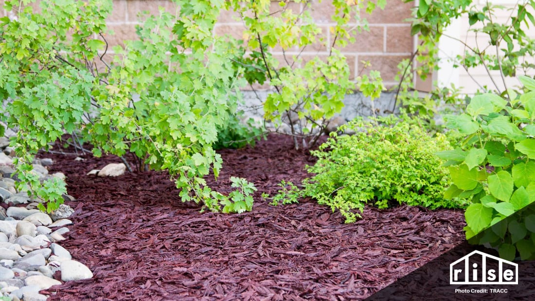 recycled rubber mulch