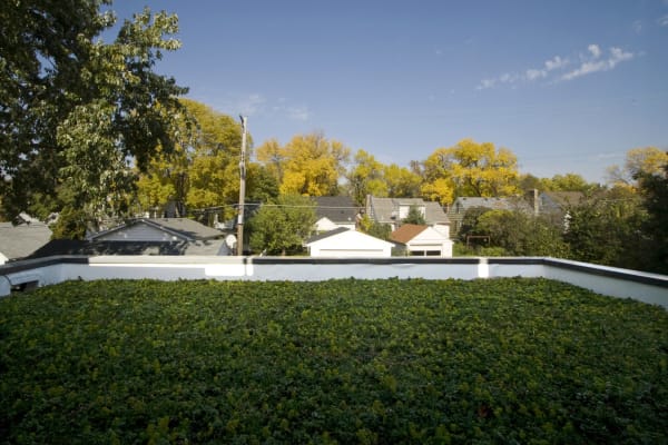 EcoDEEP Haus green roof