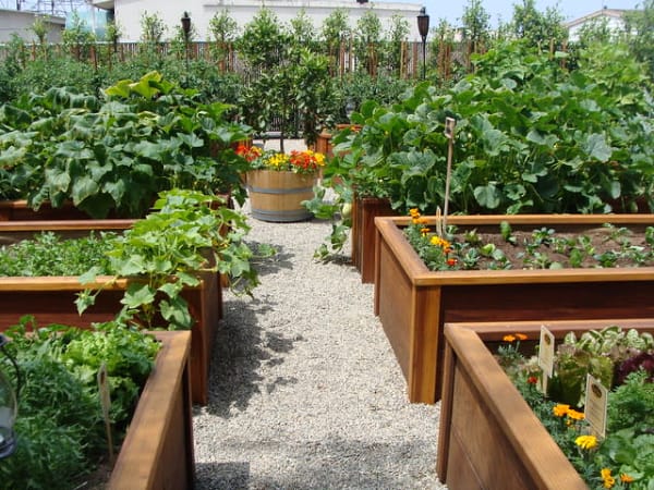 gravel walkway garden beds