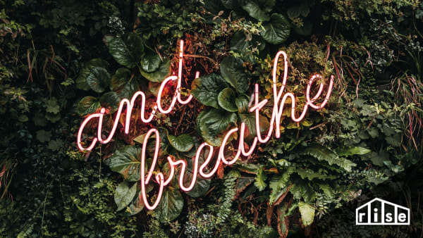 Air Purification Header