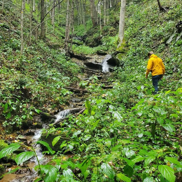 Appalachian State University