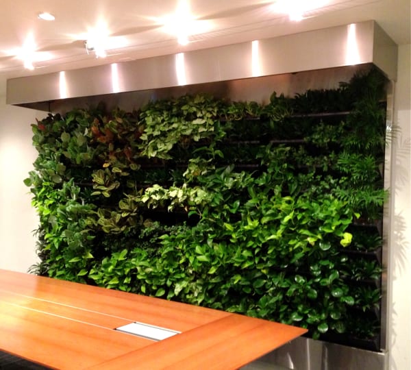 Architek Living Wall