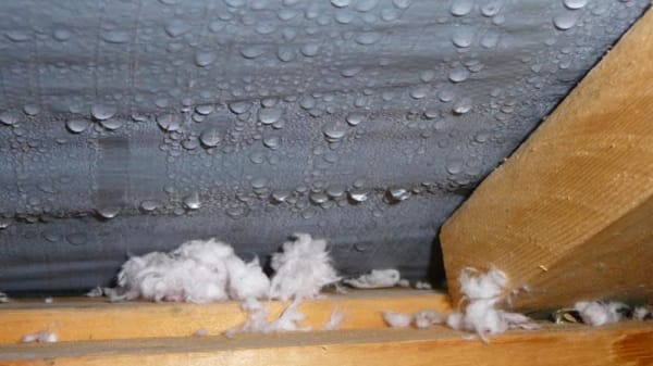 ice in attic
