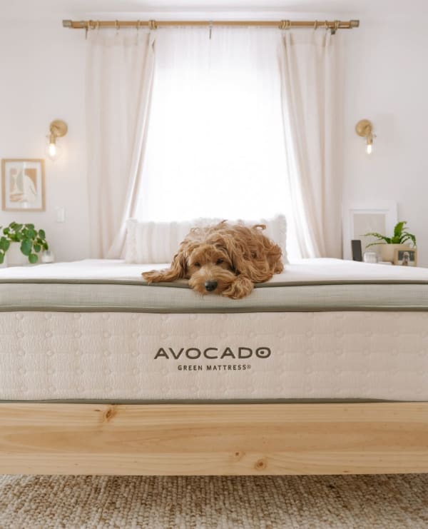 Avocado Green Mattresses
