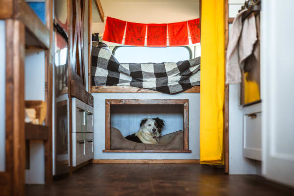 Skoolie dog bed