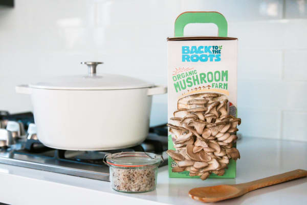 Back to the Roots Organic Mushroom Farm