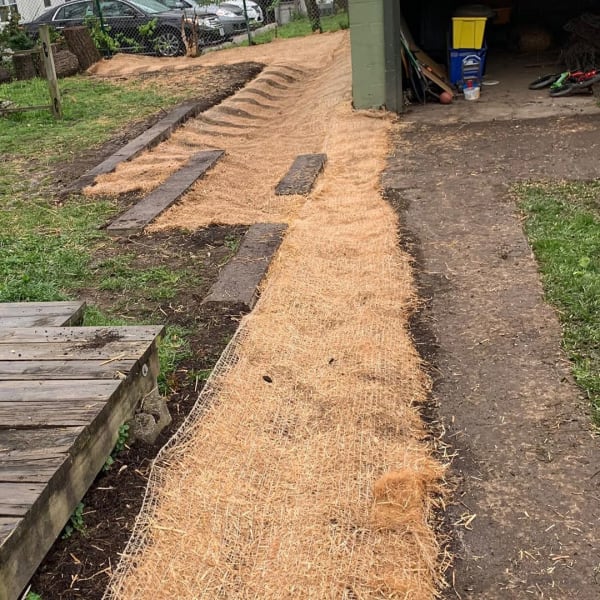 Bioswale. Down to Earth Services Insta