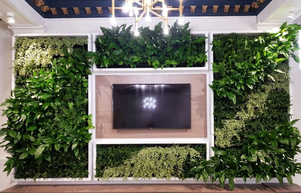 Biotecture Living Wall