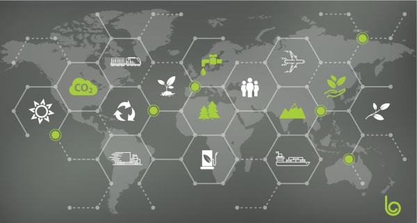 environmental impact of supply chains