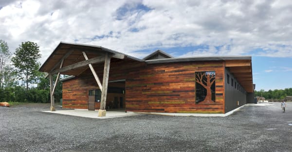 CLT building with shallow wood char