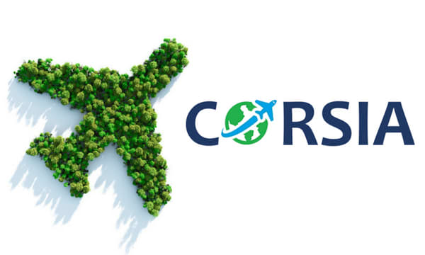 flight carbon offset