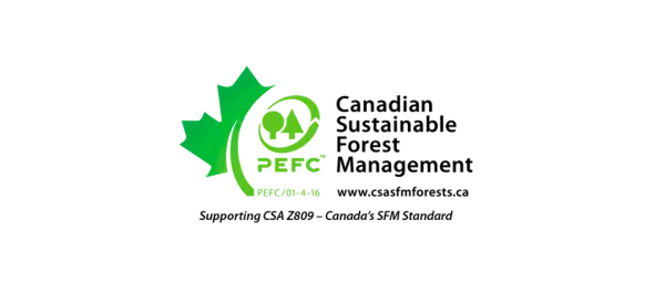 CSA SFM logo